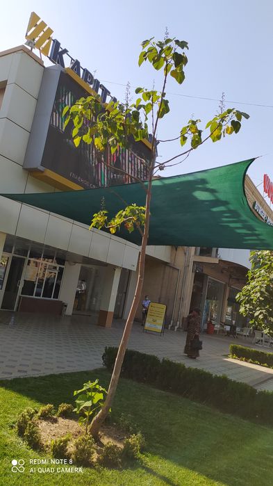 Микроклимат. Установка Микроклимата, ремонт. Солнцезащитные сетки .