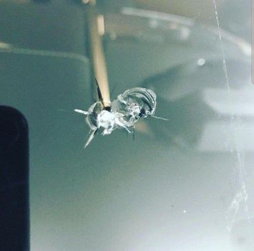 Ремонт лобовой стекло