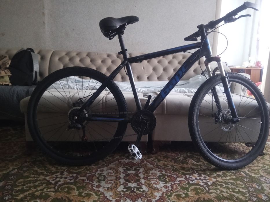 Барс скоростной.