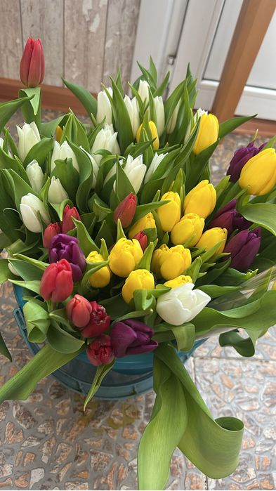 Тюльпаны 700 тенге доставка