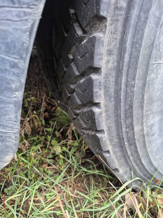 Vind familii de albine si camion apicol