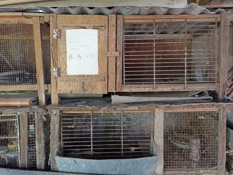 Крольчатники самодельные