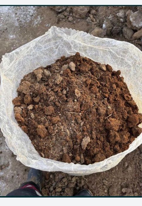 Навоз. Бесплатно доставка