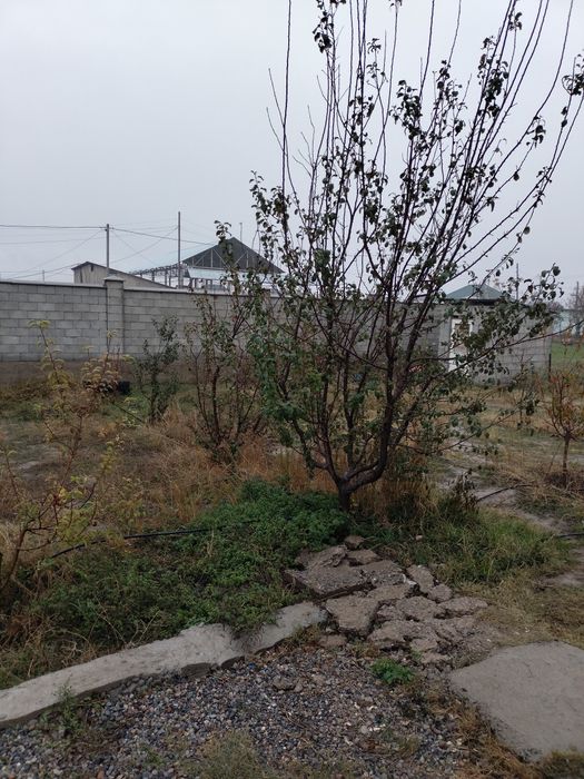 Шұбарсуда үй сатылады