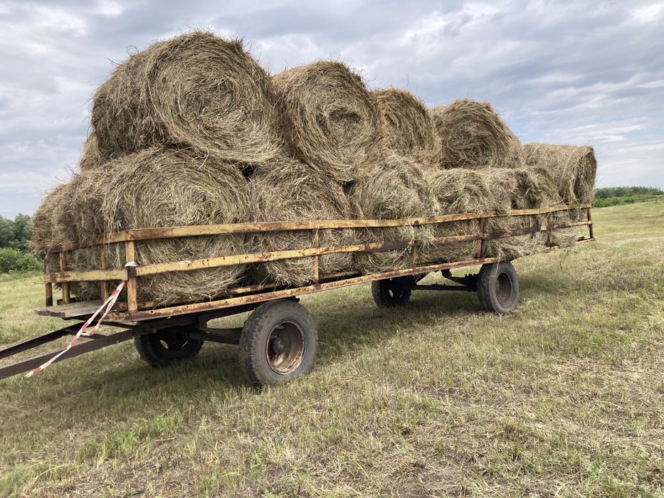 Прицеп, птс, сеновоз