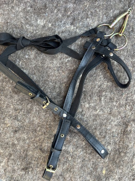 Подарок седло