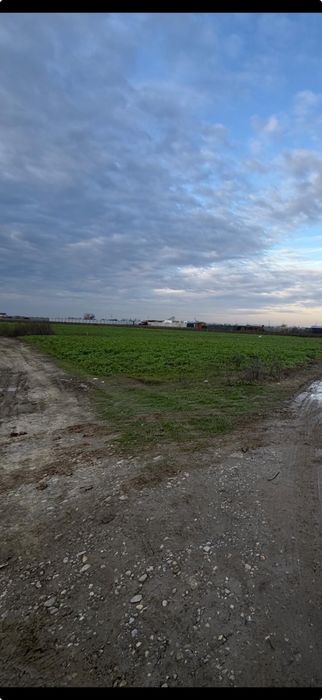 Teren 3500 mp Cornetu-Ilfov