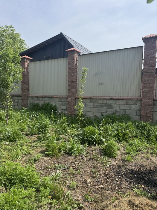 Маживельник для сада