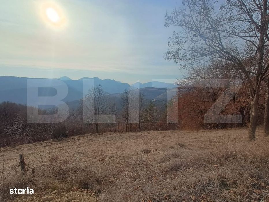 Teren extravilan, 12000 mp, curent com. Ramet