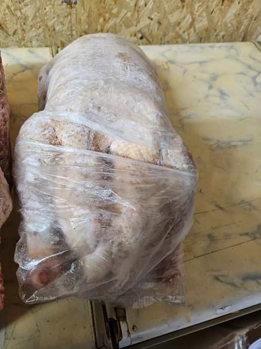 Гуси. Гуси домашние молодие.