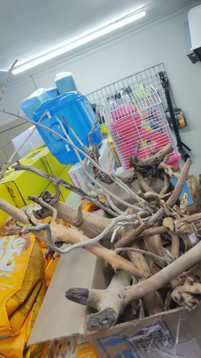 Коряги для аквариума