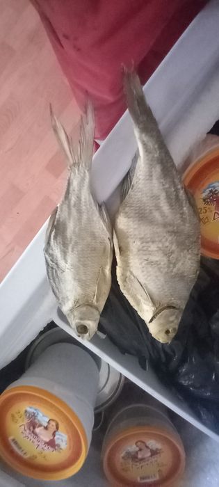 Балық кептерілген