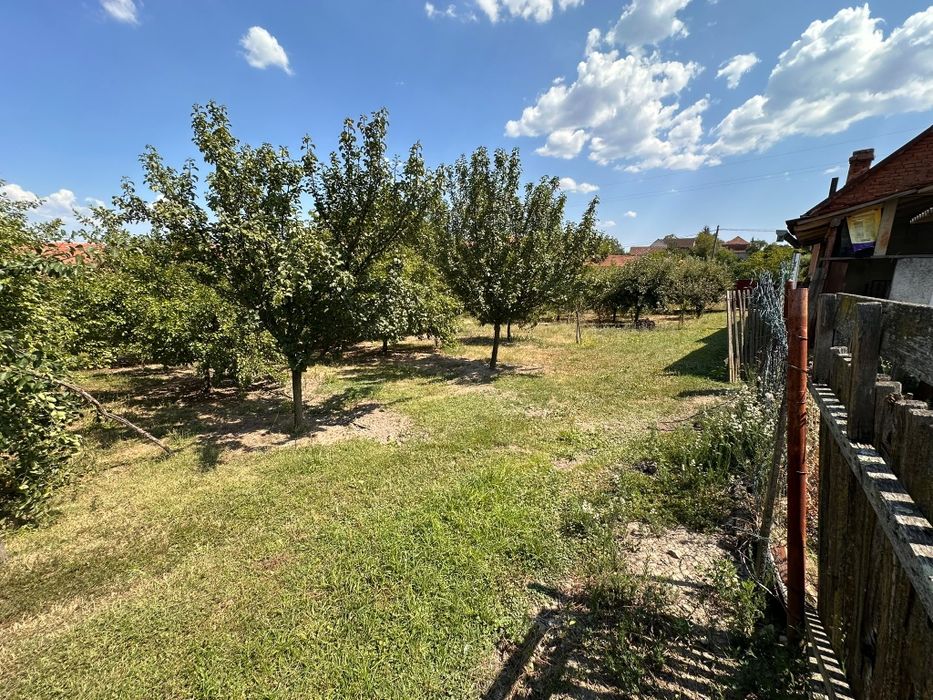 Casă gospodărească deosebită cu teren 2.561 mp – Zorlențu Mare, Caraș-Severin – 100.000 €