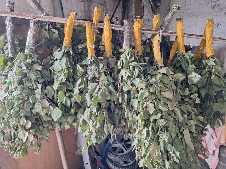 Берёзовые веники