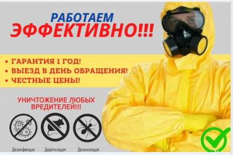 Мойка фасадов и брусчатки. Химчистка мебели и ковров. Уборка домов