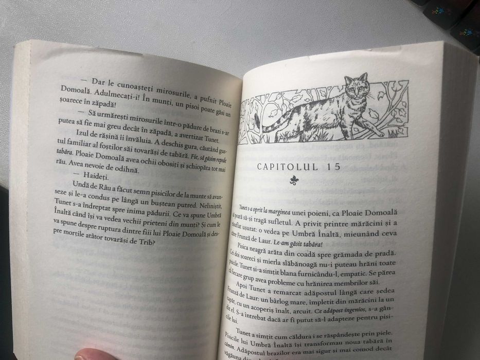 Seria Pisicile razboinice