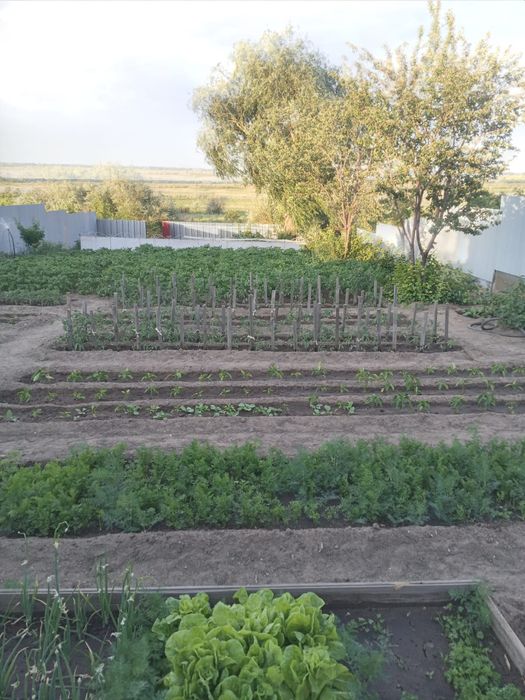 Участок, времянке, гараж, бокс, дача