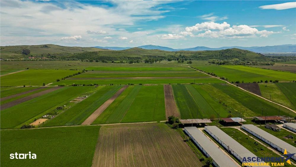 FILM! Teren extravilan 5.000 mp in zona linistita cu acces facil, Bod,