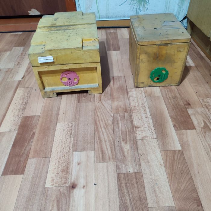 Пчеловодства , Алматы