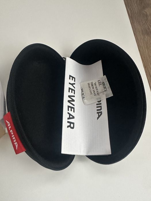 Очила Alpina RAM HR HVLM