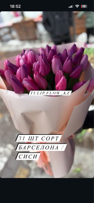 Корпаративные заказы на 8 марта тюльпаны