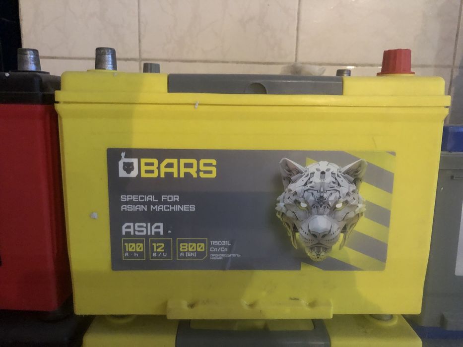 Продаю Барс 100ач