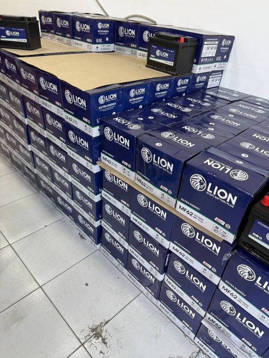 Akkumulyator Lion na vsex vidov  avtomashin gm