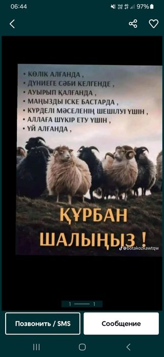 Продам Баранов хороших