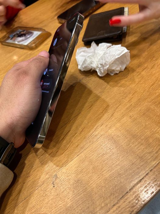 Iphone 13 Pro Max 256gb