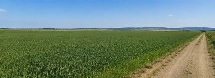 TEREN 15.000 MP LA 10 KM DE CRAIOVA-COMUNA MISCHII
