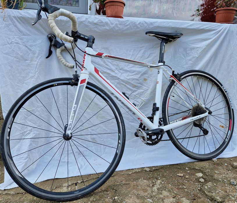 giant defy olx