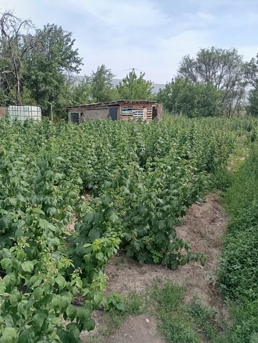 Продам дом срочно