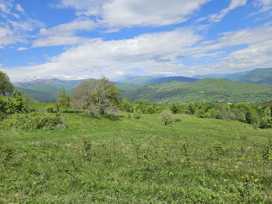 Teren Intravilan 10.000 mp cu vedere panoramică în Secăria, Prahova (Se poate vinde și parcelat)