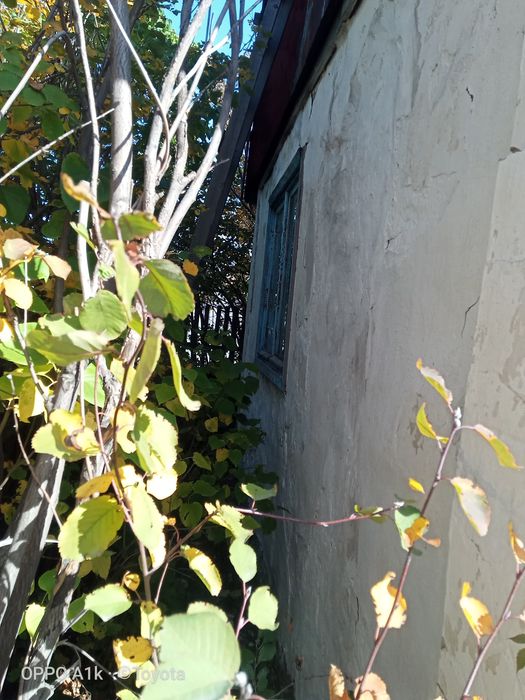 Дача в обществе "АЛМА"