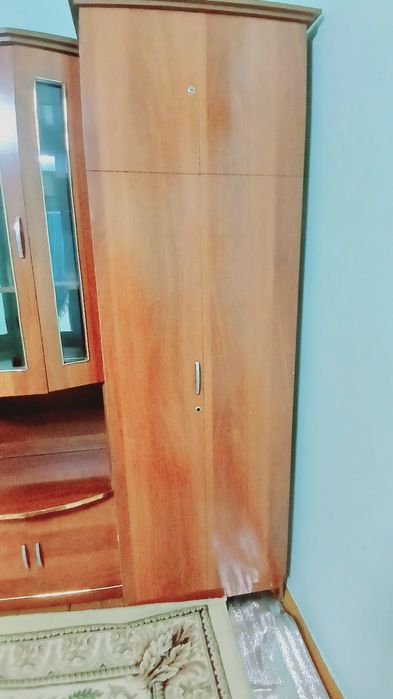 Jigarrang mebel 5 tasi birda