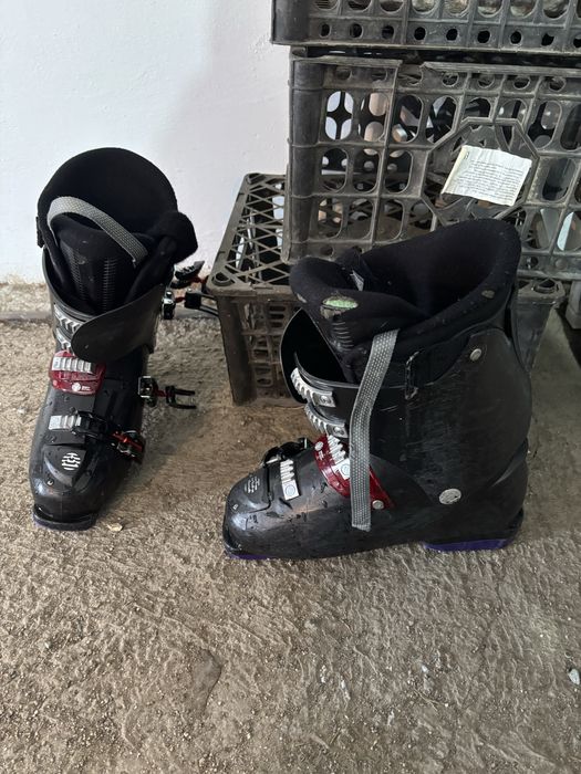 Горные лыжи Elan