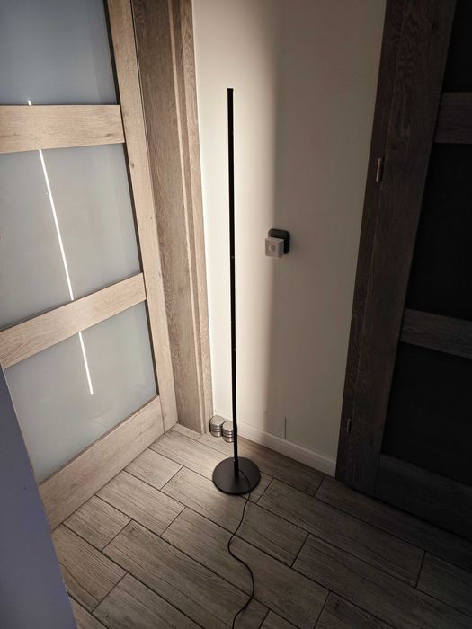 EDISHINE Pachet de 2 Lămpi de Podea LED Dimmabile cu Funcție de Memorie – Neagră 146cm