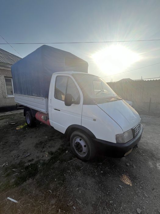 Газель в хорошем состаяний