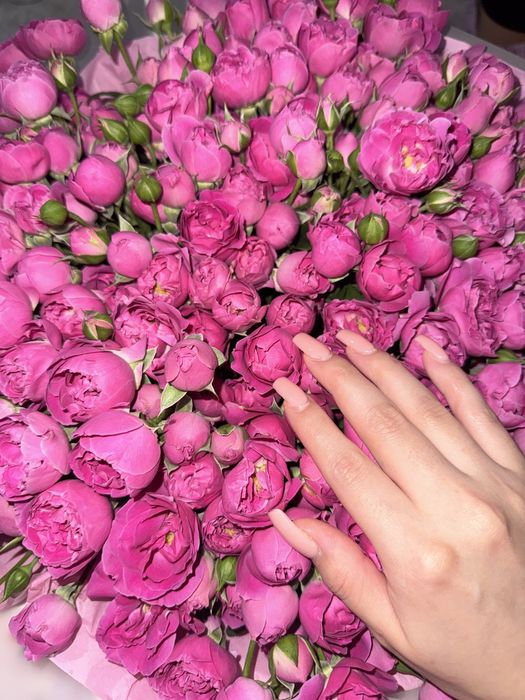 Цветы 16.500 свежиеее