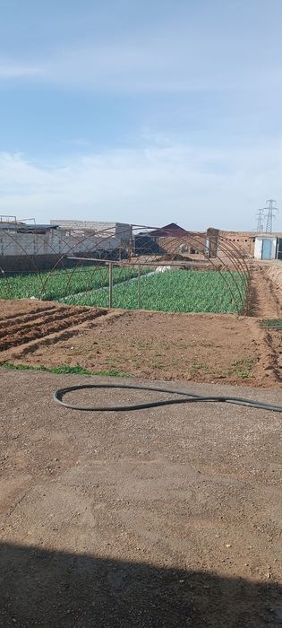 Мираж-1 дача сотилади