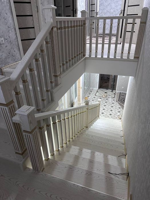 Zina poyalar lesnisa