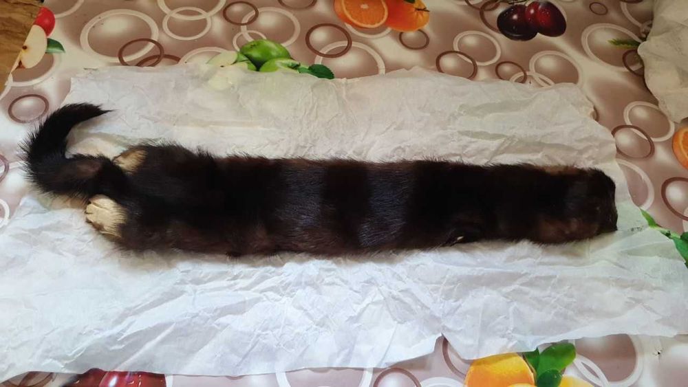 Шапка из песца и соболя. И шкурки соболя.