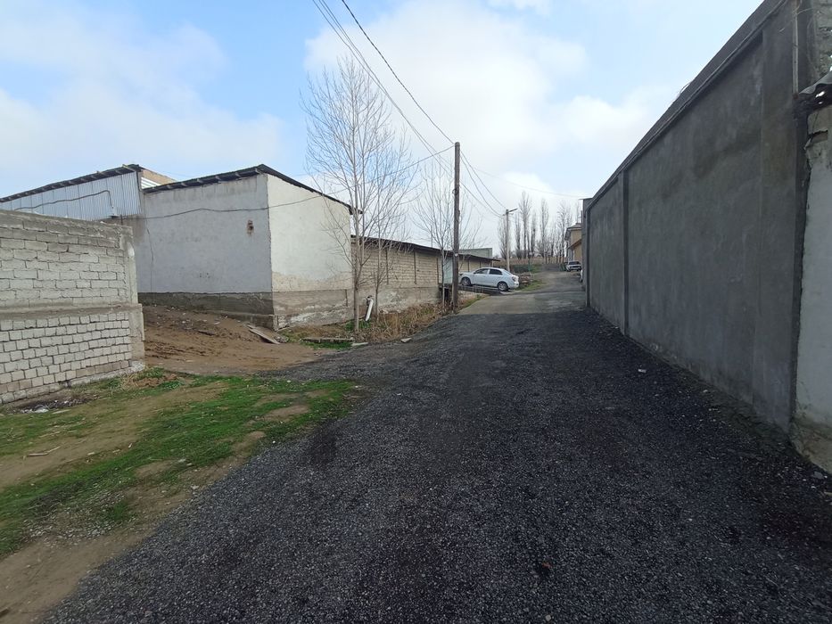 Nazarbekda yer abmen domga yoki elektromobilga