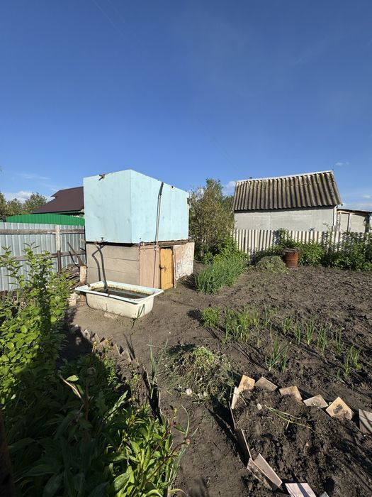 СРОЧНО Продам Дачу, на Белом ,сад.общество Сансевьера