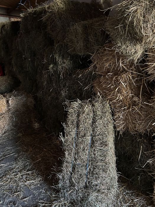 Vând baloți de otavă și fân