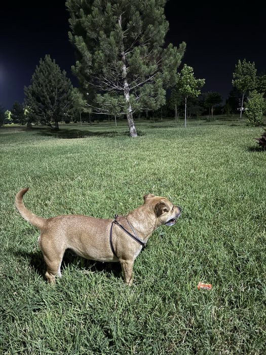 Продается срочно