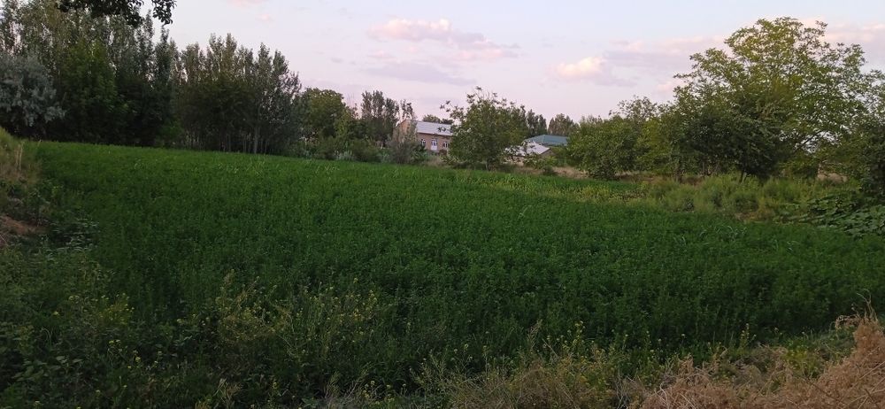 10 sotix joy sotiladi xolati yaxshi
