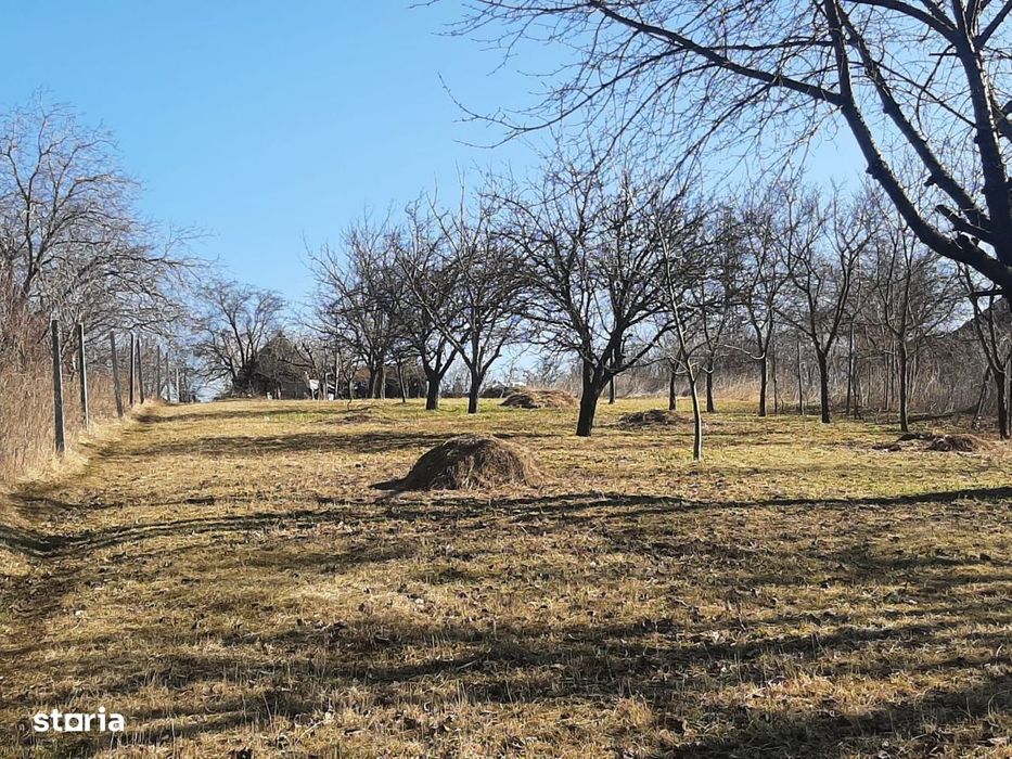 Teren de vanzare in Valcele