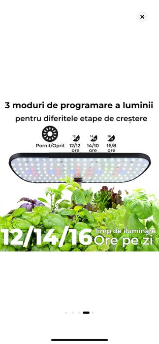 Ghiveci Inteligent,  hidrofonic de Crestere Avansat