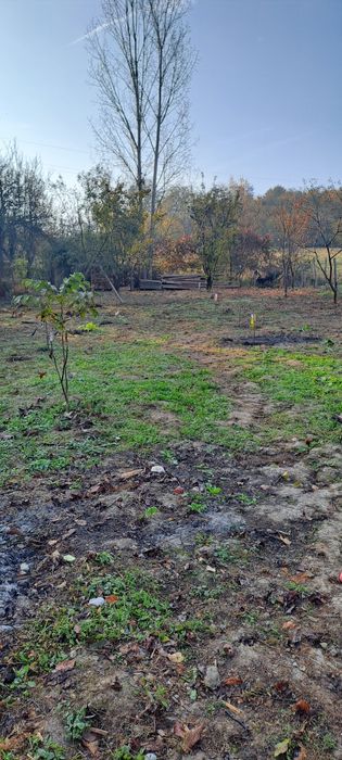 Curăț terenuri defrișez